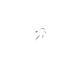 VIPDUTCH