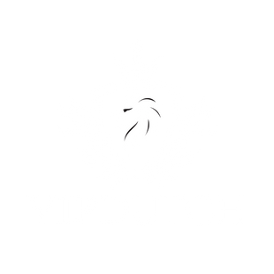 VIPDUTCH